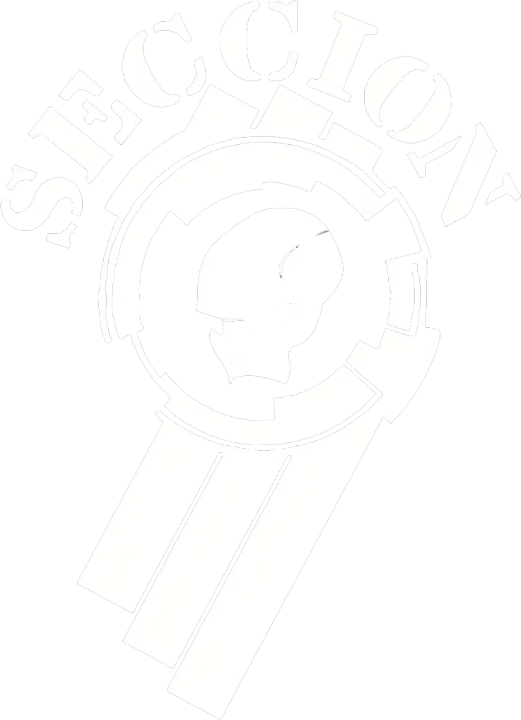 Sección 9